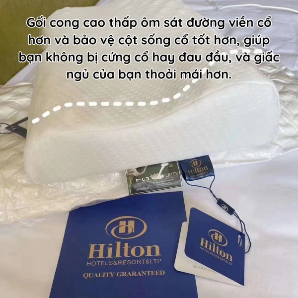 Gối Cao Su Thiên Nhiên Hilton Cho Giấc Ngủ Mềm Mại Như Mây - Hình ảnh 6